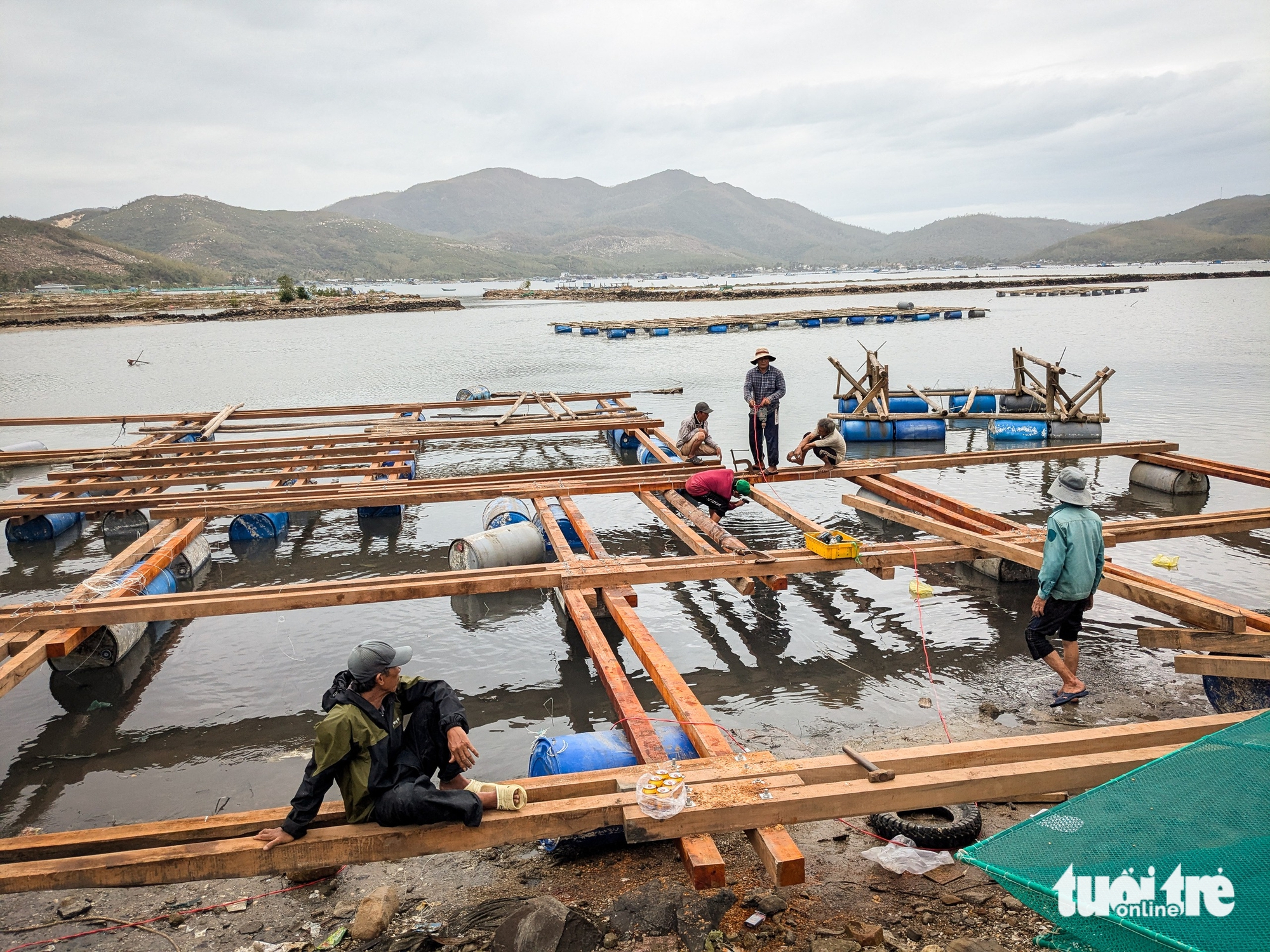 tôm hùm - Ảnh 3.