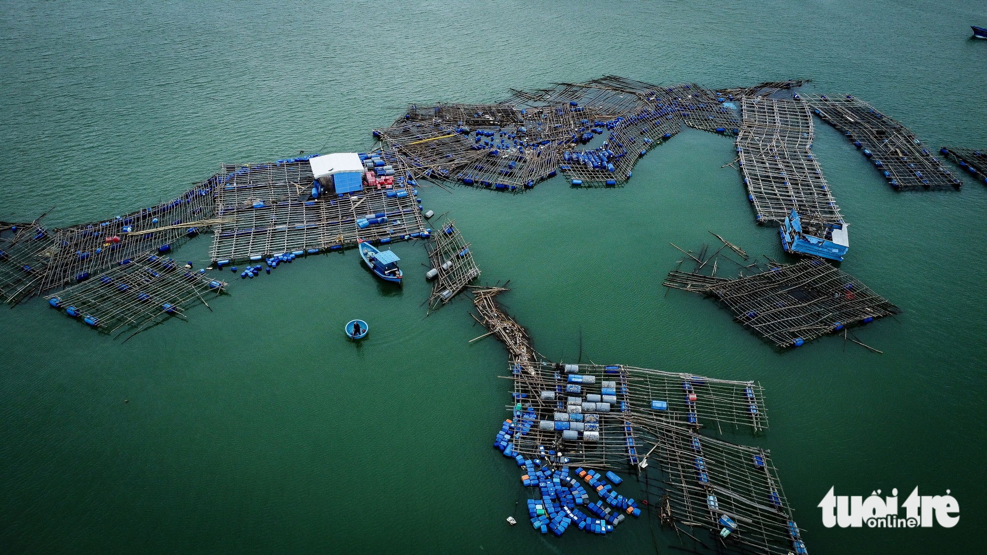 Chuyên gia hiến kế phát triển bền vững nghề nuôi tôm hùm: Đưa lồng nuôi ra vùng biển hở - Ảnh 5.
