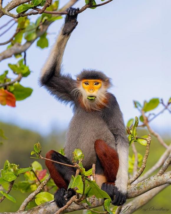 Tử vi, con giáp, tử vi hàng ngày, tử vi ngày 2/12/2025