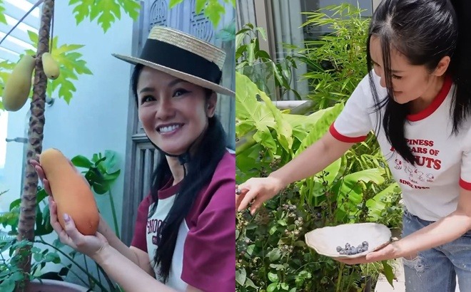 Penthouse của diva Hồng Nhung- Ảnh 3.