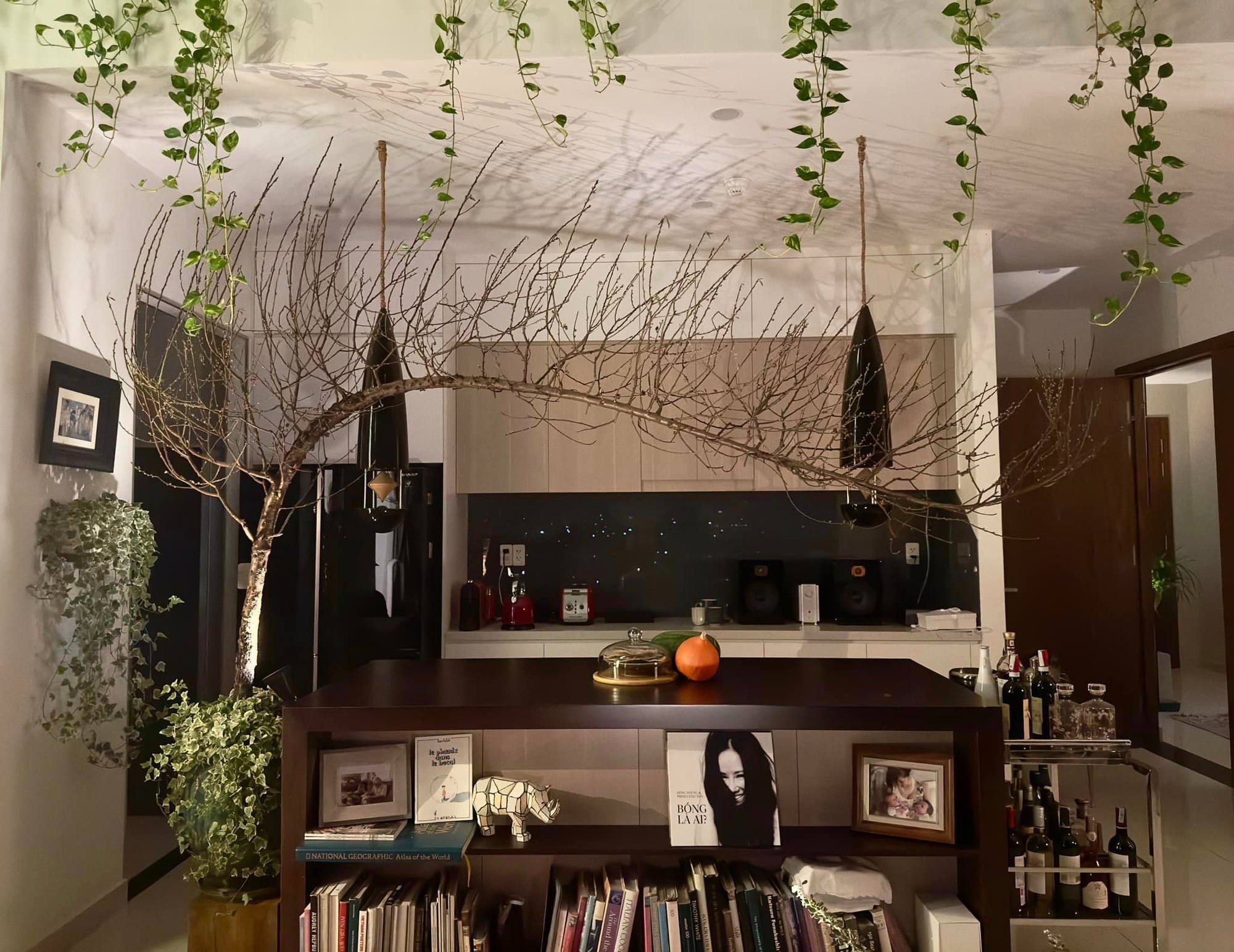 Penthouse của diva Hồng Nhung- Ảnh 11.