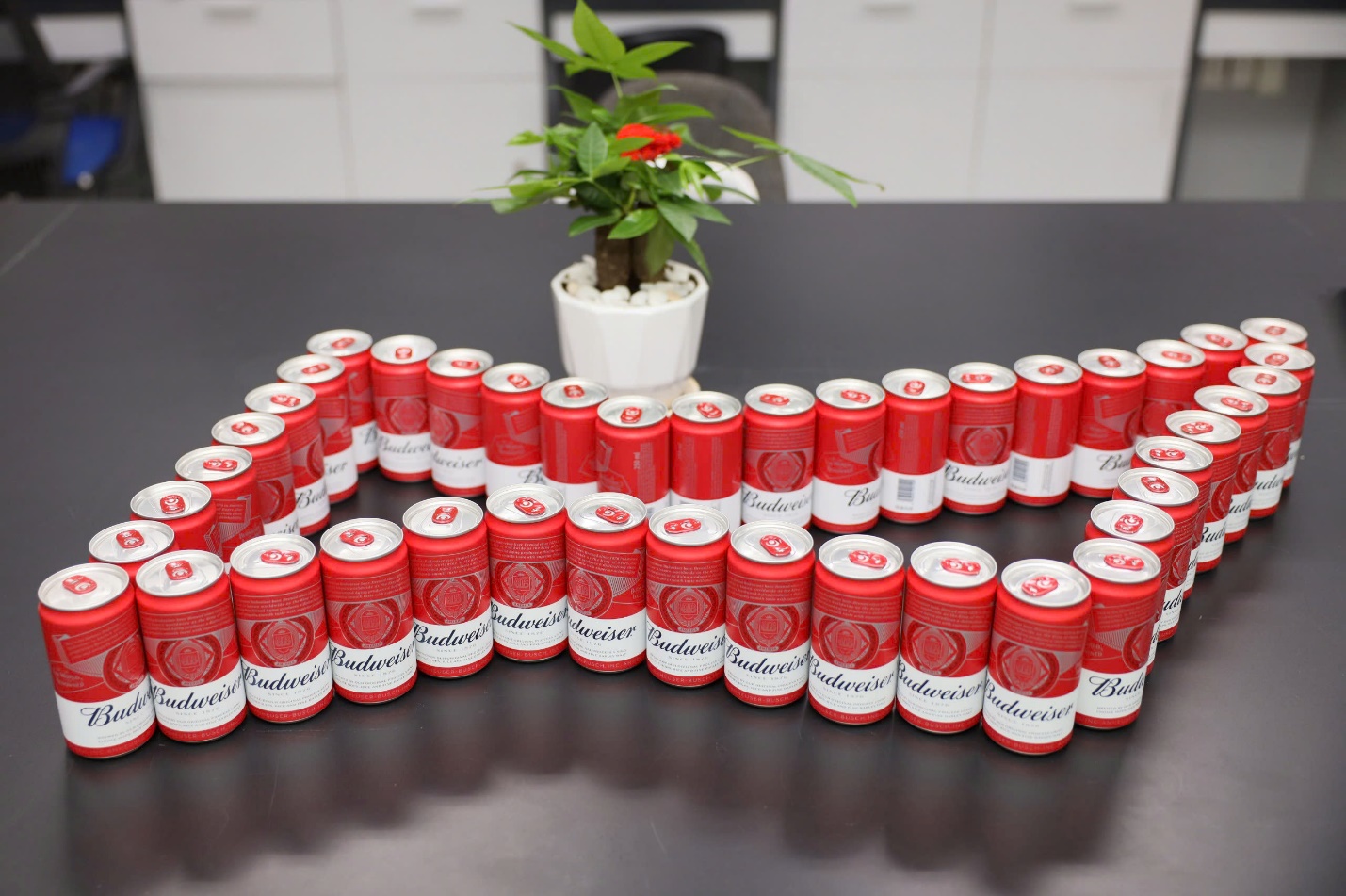 Nhà máy bia AB InBev kỷ niệm 10 năm thành lập tại Việt Nam- Ảnh 4.