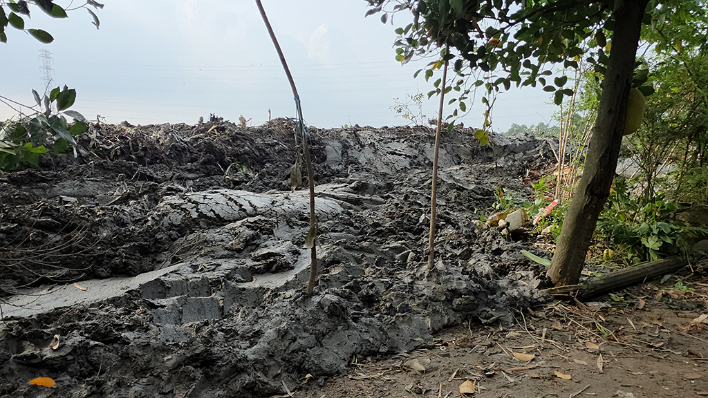 Thâm nhập 'đại công trường' san lấp trái phép: San lấp vô tội vạ - Ảnh 5.