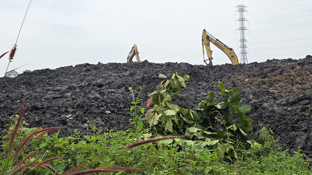 Thâm nhập 'đại công trường' san lấp trái phép: San lấp vô tội vạ - Ảnh 4.