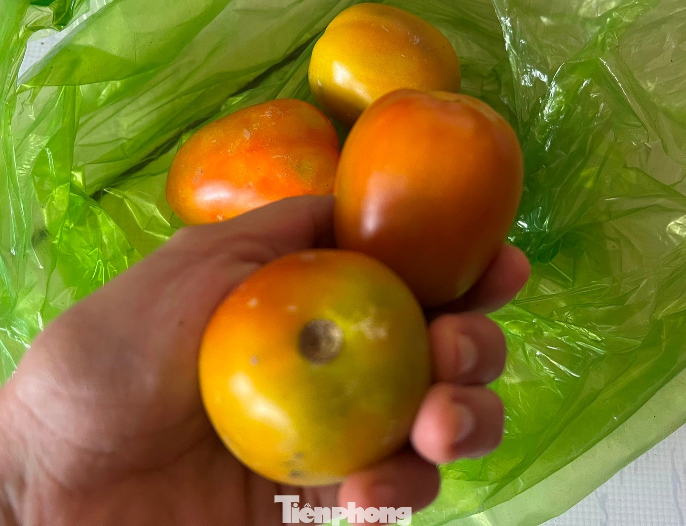 Rau trái về TPHCM tăng dần, nhiều loại chỉ 10.000 đồng/kg- Ảnh 2.