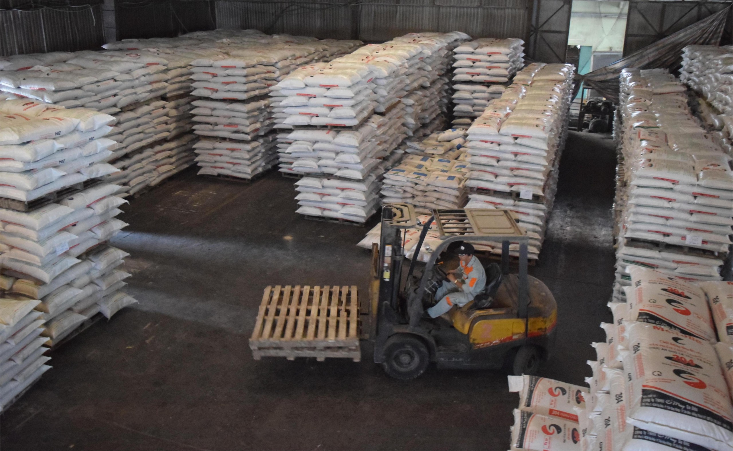 Phát triển kinh tế Đồng Tháp bứt phá với mô hình nông nghiệp sinh thái và công nghiệp hiện đại - Ảnh 10.