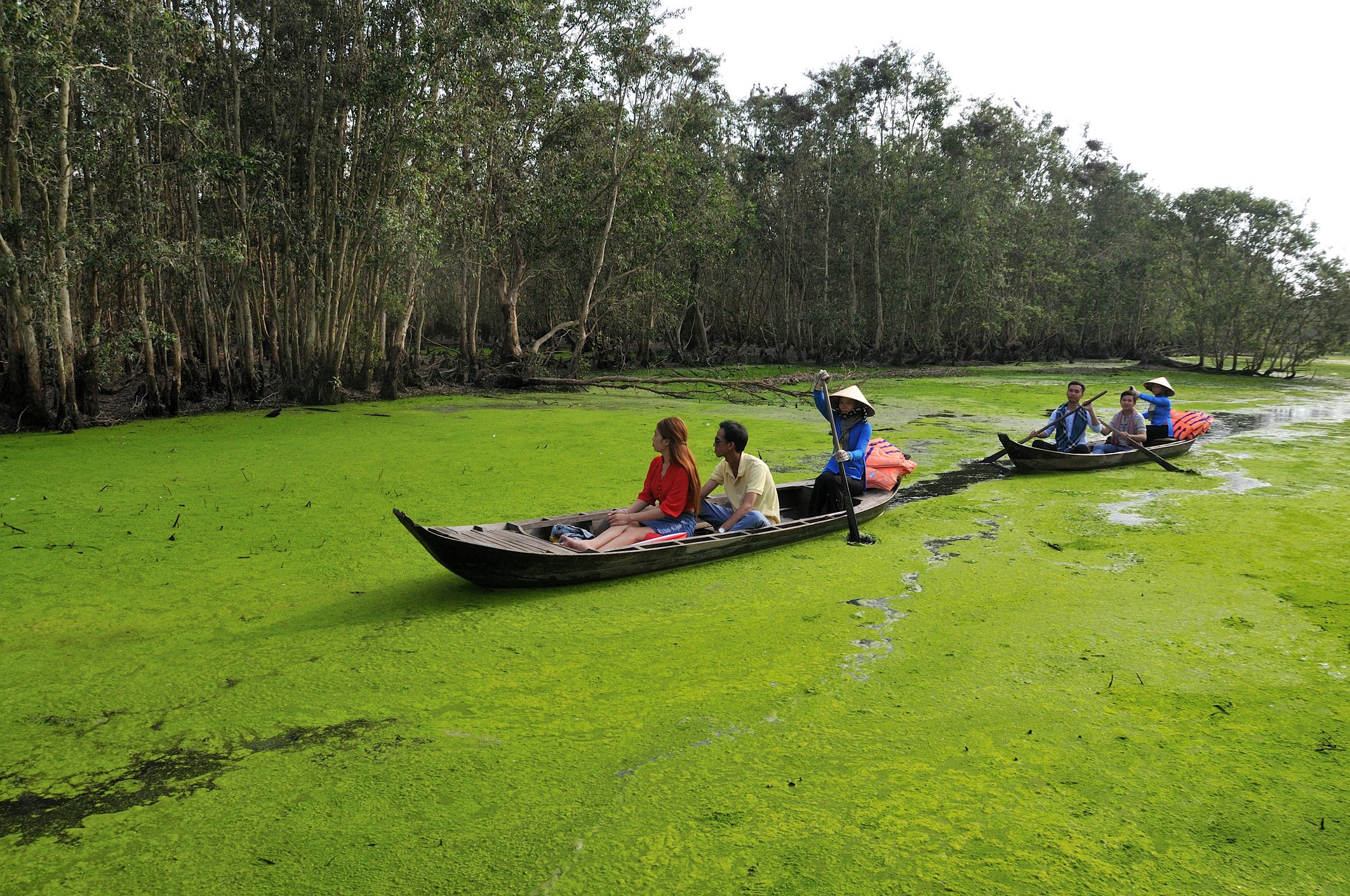 Phát triển kinh tế Đồng Tháp bứt phá với mô hình nông nghiệp sinh thái và công nghiệp hiện đại - Ảnh 11.
