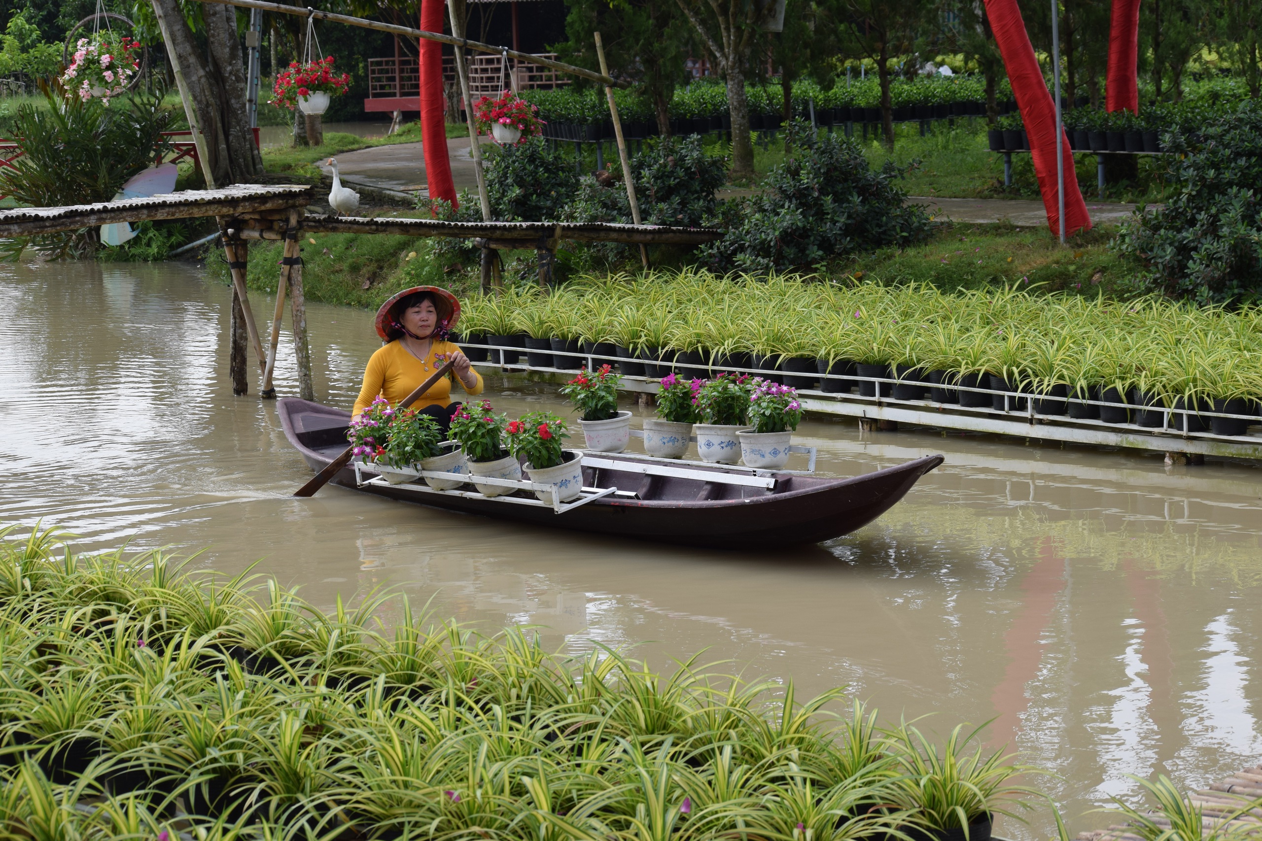Phát triển kinh tế Đồng Tháp bứt phá với mô hình nông nghiệp sinh thái và công nghiệp hiện đại - Ảnh 16.