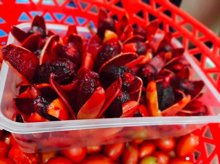 Loại quả có tên nghe rợn người là đặc sản chỉ Quảng Ninh mới có, giá 150.000đ/kg vẫn "cháy hàng" vì siêu hiếm 2 Loại quả có tên nghe rợn người là đặc sản chỉ Quảng Ninh mới có, giá 150.000đ/kg vẫn amp;#34;cháy hàngamp;#34; vì siêu hiếm - 2