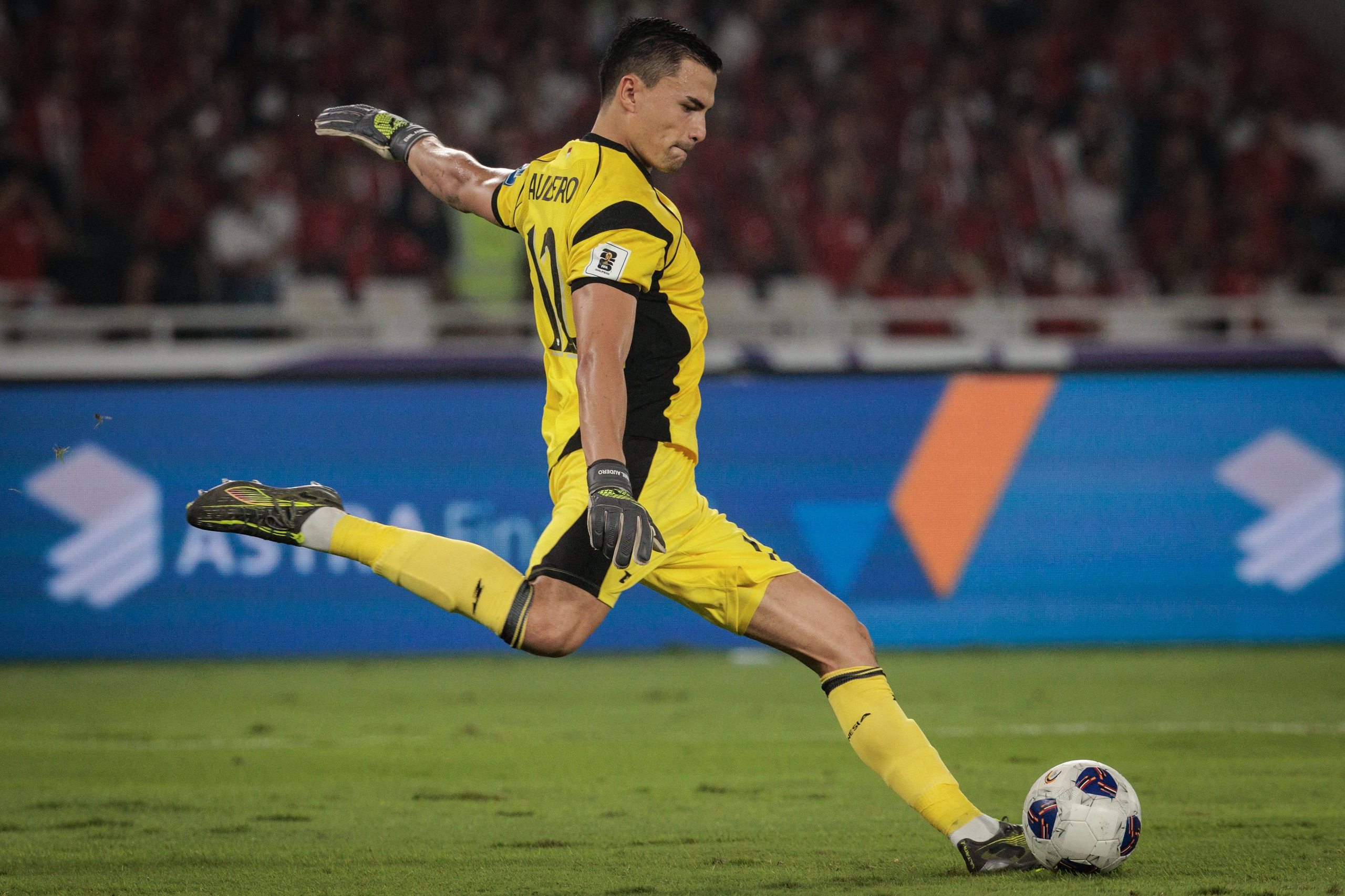 indonesia - Ảnh 2.