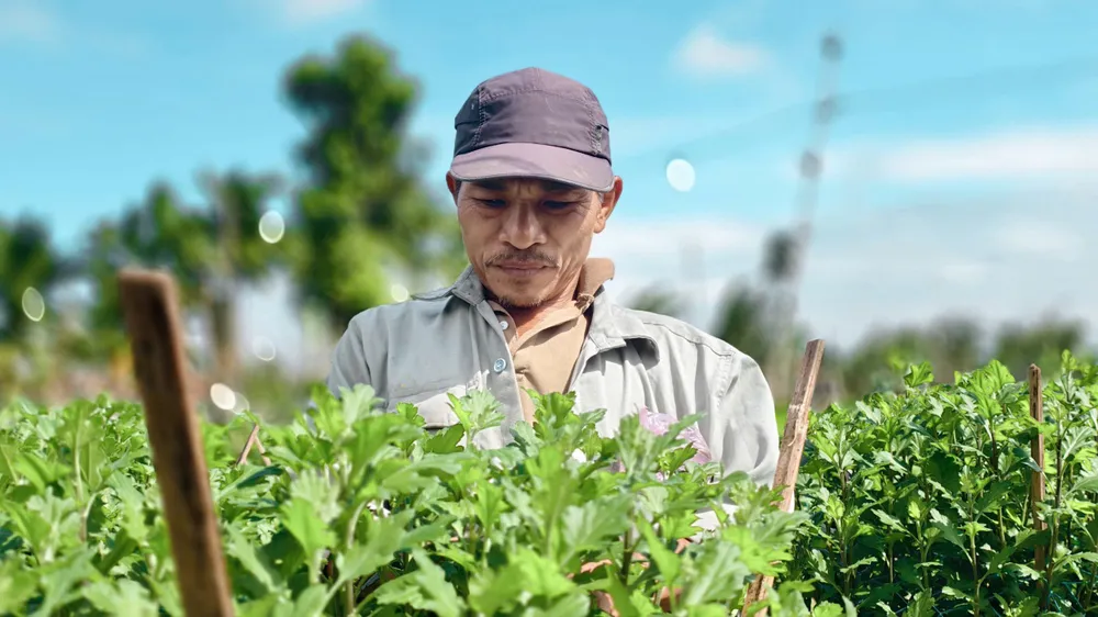 Chi phí tăng cao khiến người nông dân gặp nhiều khó khăn. IMG_1764659198209_1764659480790.jpg