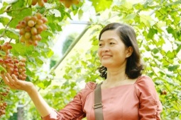 Anh nông dân Cần Thơ biến vườn nho 5.000m2 thành điểm du lịch xanh hút khách