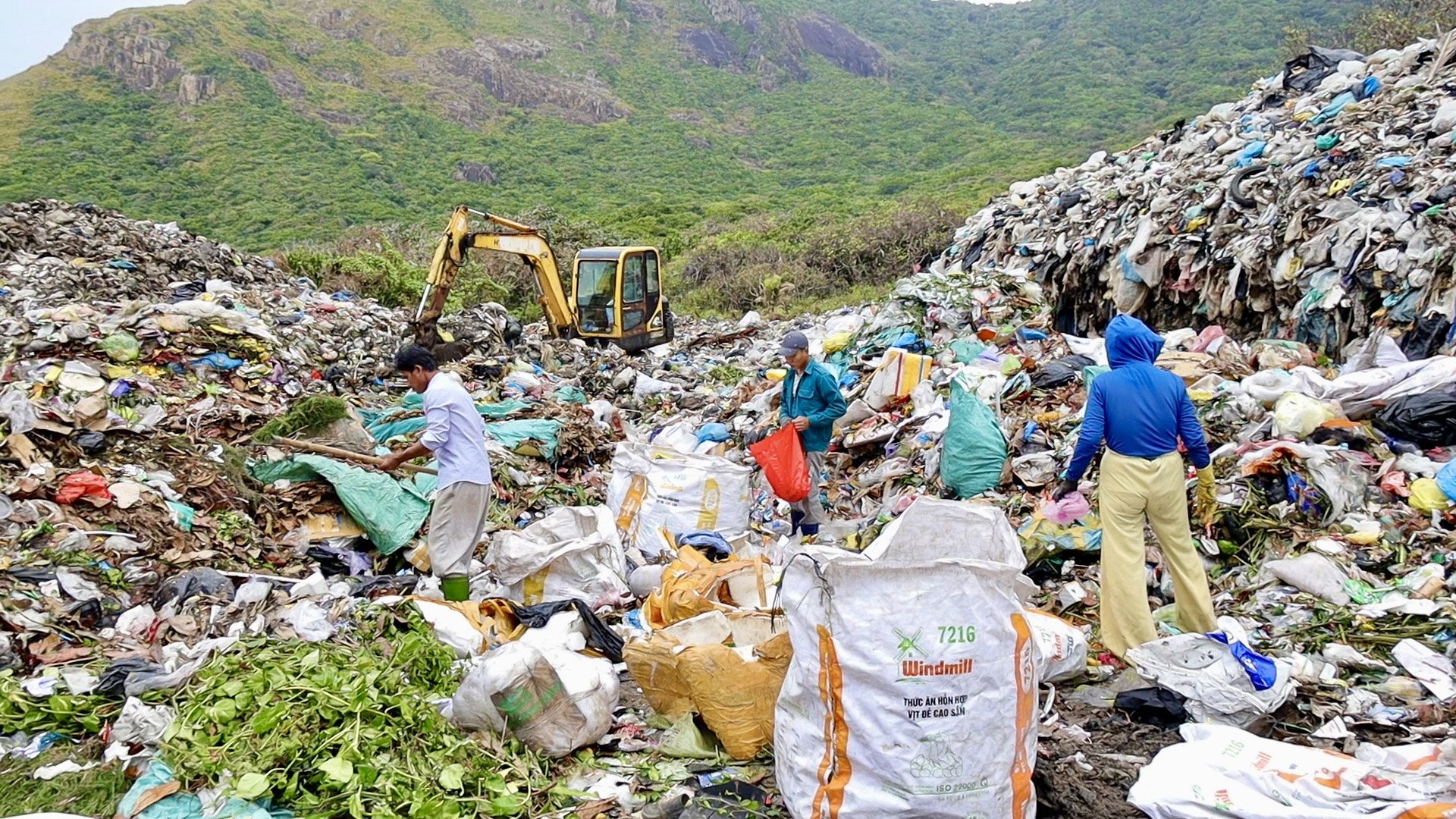 Côn Đảo nỗ lực 