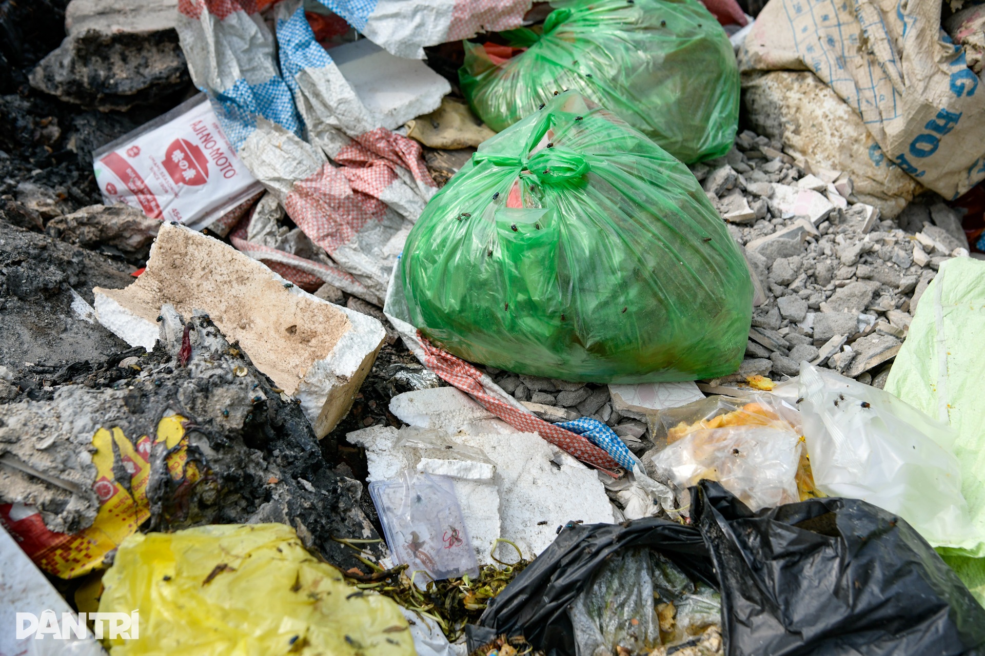 Hà Nội: Cư dân khổ sở vì sống cạnh bãi rác, ở tầng cao không dám mở cửa sổ - 11