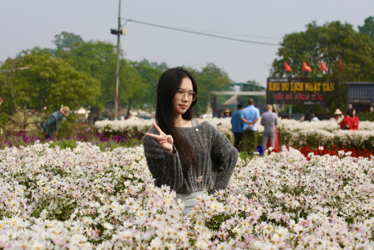 Cúc họa mi vào mùa, bãi đá sông Hồng kín khách check-in - 6