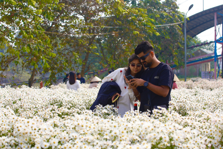 Cúc họa mi vào mùa, bãi đá sông Hồng kín khách check-in - 9