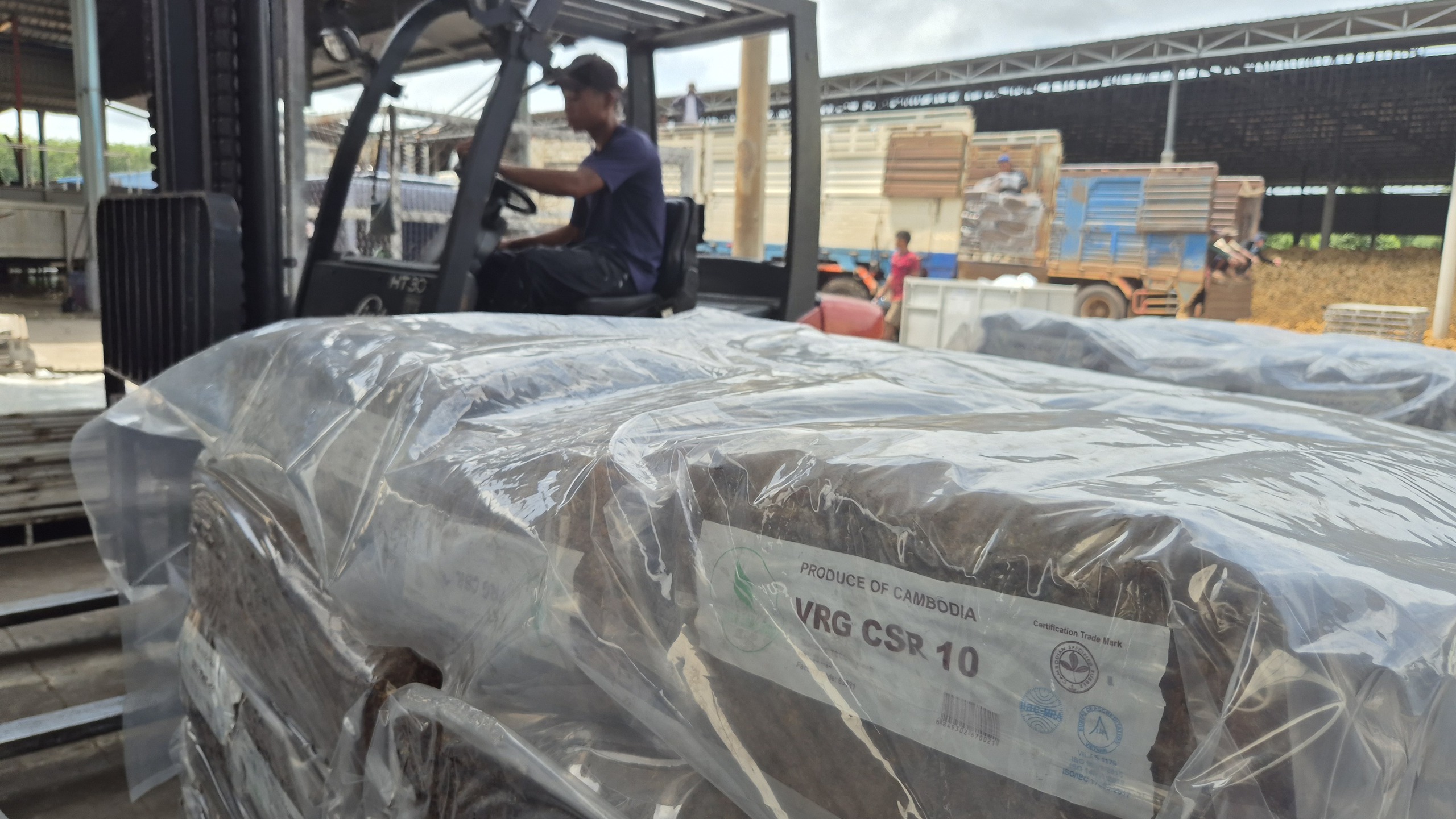 Tập đoàn Công nghiệp cao su Việt Nam (VRG) lãi gần 7.000 tỉ đồng - Ảnh 5.