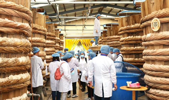 Đoàn đối tác Thái Lan tham quan không gian nhà thùng Masan Phú Quốc với quy mô gần 500 thùng ủ chượp nước mắm. Ảnh: Masan