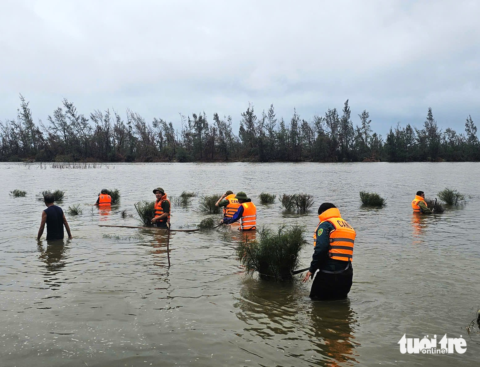 Hà Tĩnh tháo dỡ ‘ma trận’ bẫy chim trời, thu giữ hàng chục ngàn dụng cụ đánh bắt - Ảnh 2.