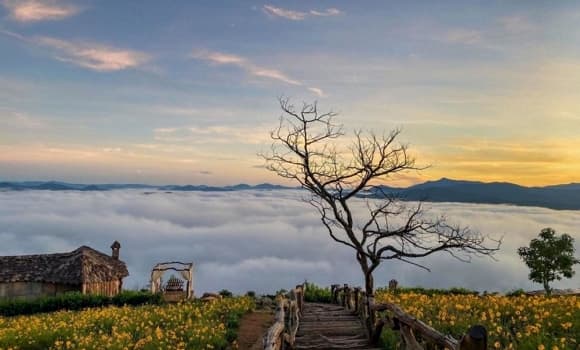 Đà Lạt, điểm ngắm bình minh đẹp nhất thế giới, Việt Nam
