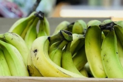 Khỏi gan nhiễm mỡ nhờ 2 món bình dân trong bữa sáng