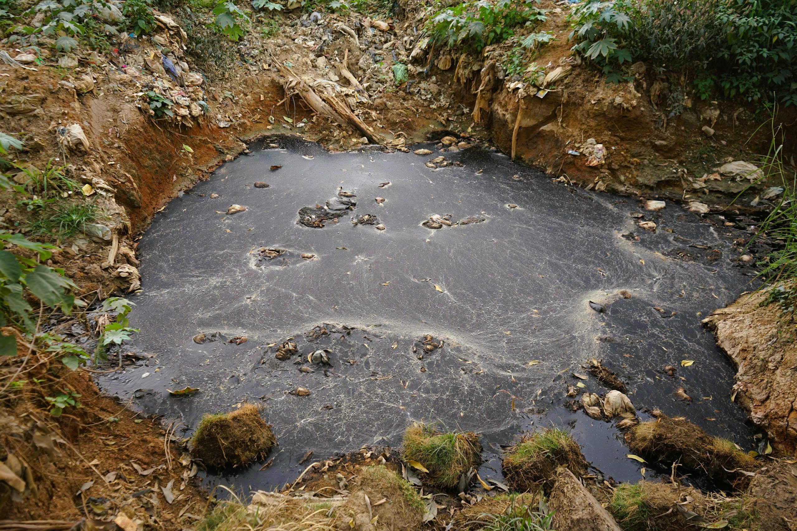 - Ảnh 3. - Ảnh 3.