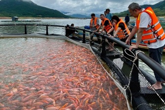 6 lý do nhà đầu tư nên chọn Gia Lai 7 Cá nuôi hồ lần đầu xuất khẩu sang Nhật Bản làm sushi, nông dân mừng rỡ
