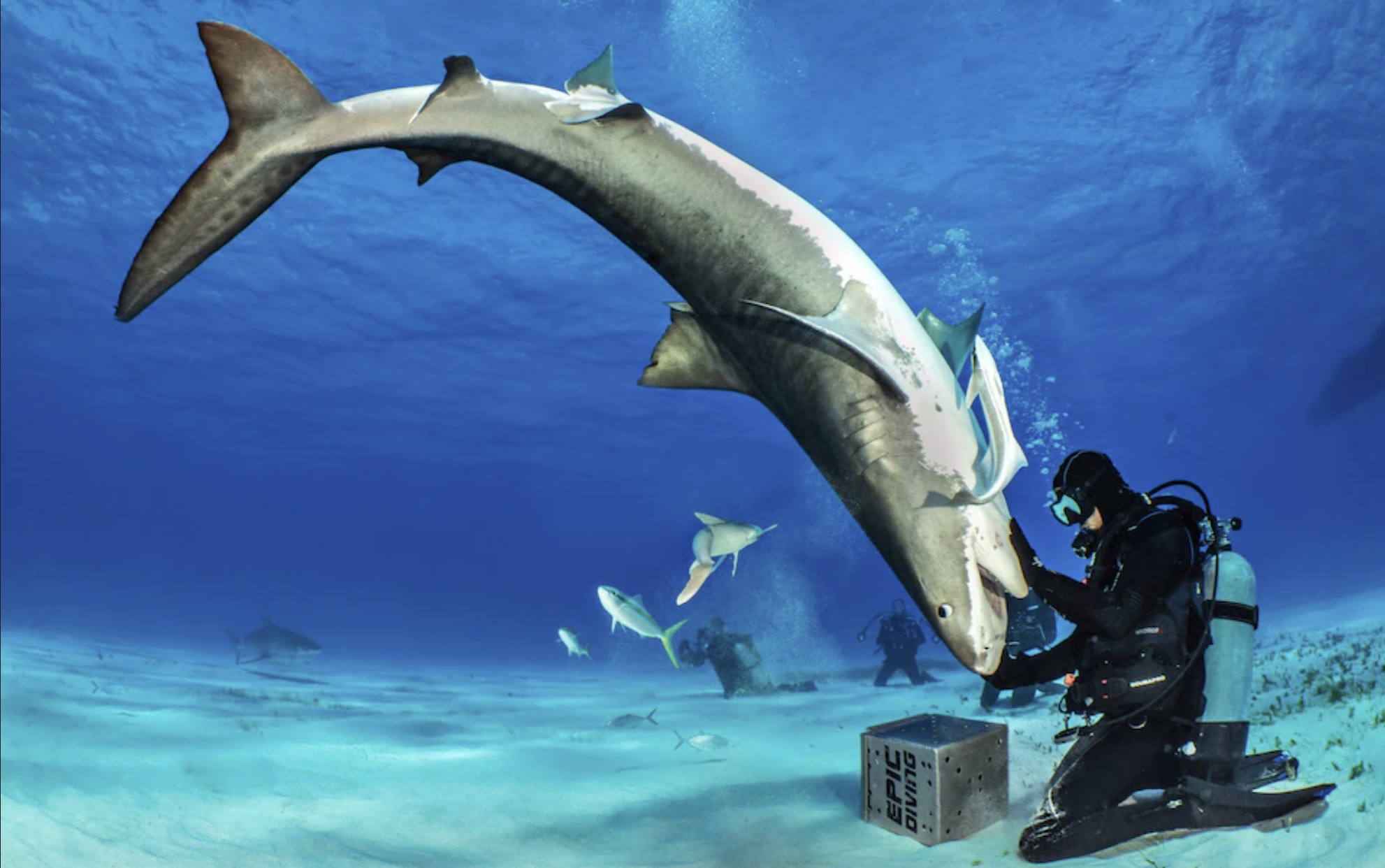 Tin tức thế giới 4-12: - Ảnh 1.