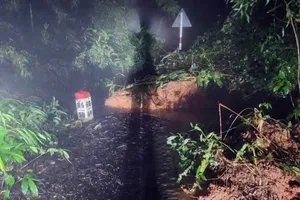 Lâm Đồng: Đèo Gia Bắc, Quốc lộ 28 sạt lở nặng, cơ giới dọn dẹp xuyên đêm