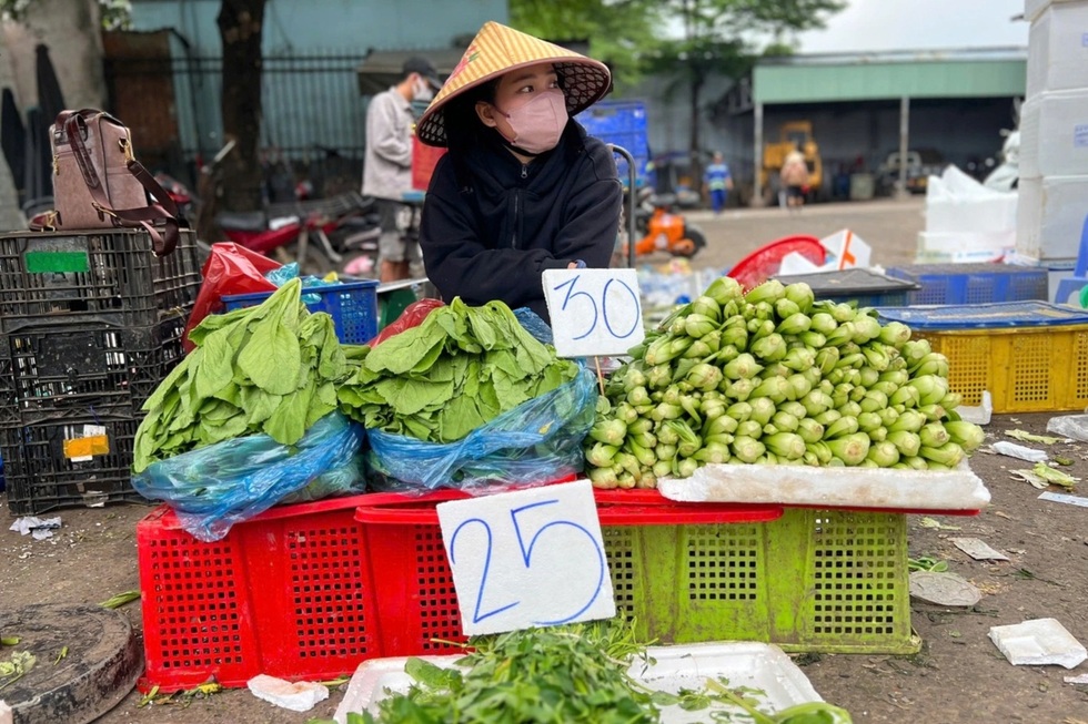 Nước mắt vịnh tôm hùm và những vụ mùa tiền tỷ đặt cược vào ông trời - 4