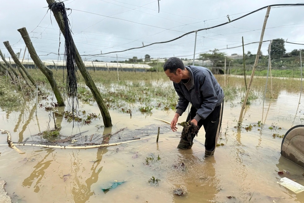 Nước mắt vịnh tôm hùm và những vụ mùa tiền tỷ đặt cược vào ông trời - 7 Nước mắt vịnh tôm hùm và những vụ mùa tiền tỷ đặt cược vào ông trời - 7