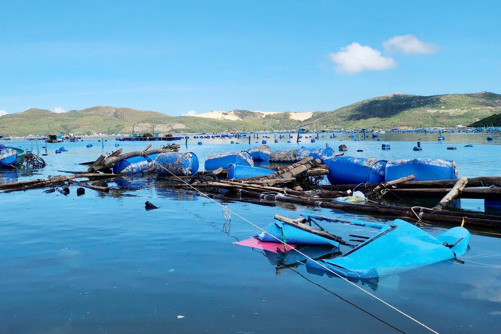 Nước mắt vịnh tôm hùm và những vụ mùa tiền tỷ đặt cược vào ông trời - 6 Nước mắt vịnh tôm hùm và những vụ mùa tiền tỷ đặt cược vào ông trời - 6