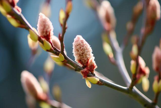 Người thực sự khôn ngoan đã từ bỏ 4 kiểu xã giao này - 2