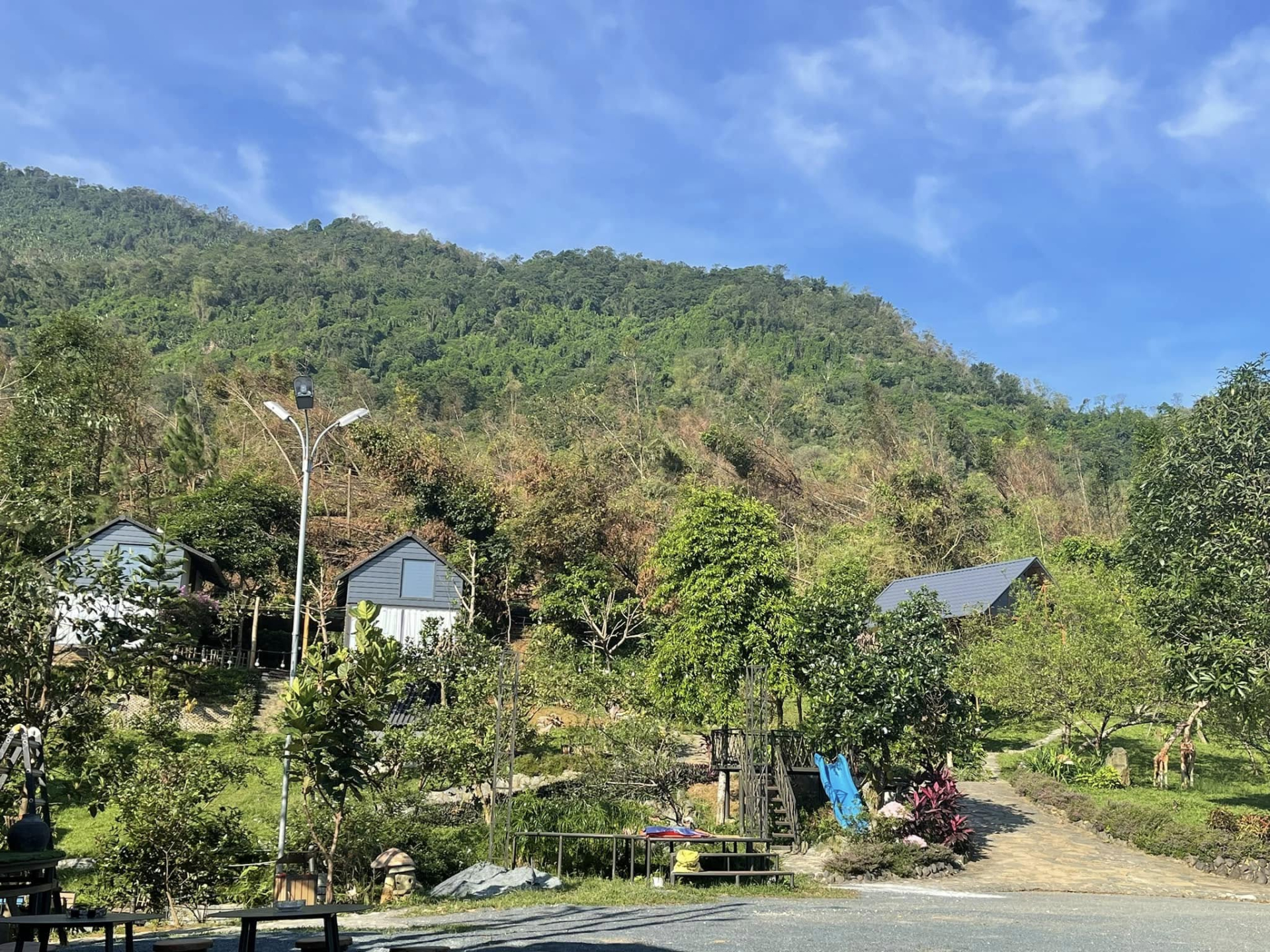 Cơ ngơi 10.000m2 của “ông hoàng nhạc đỏ” lẻ bóng ở tuổi U60- Ảnh 3.