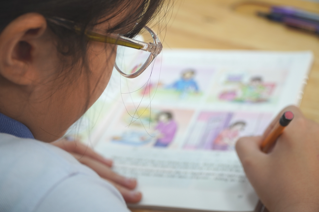 Số môn học ở Việt Nam gấp đôi các nước, lo học sinh quá tải, bị nhồi nhét - 2