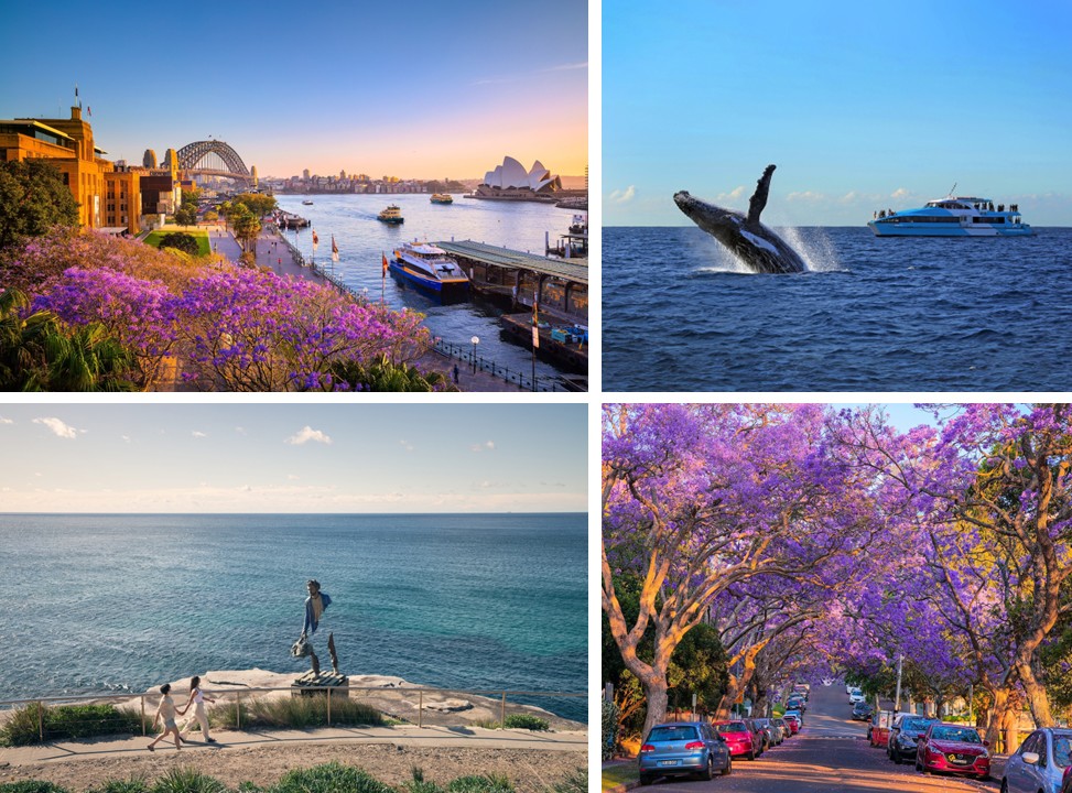 7 trải nghiệm nên thử ở Sydney khiến du khách Việt say lòng - 2