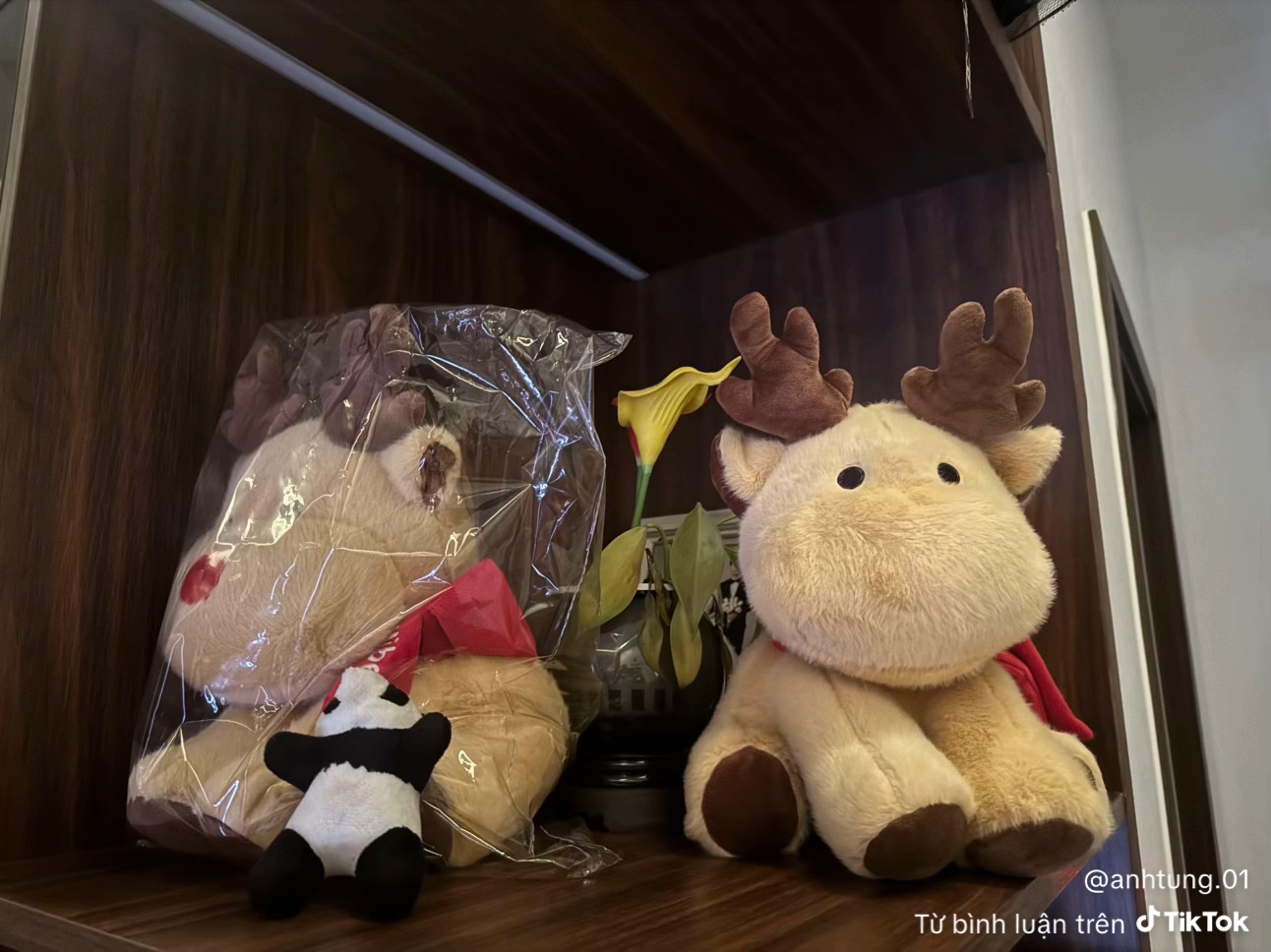 Hàng loạt khách đòi Hàng loạt khách đòi