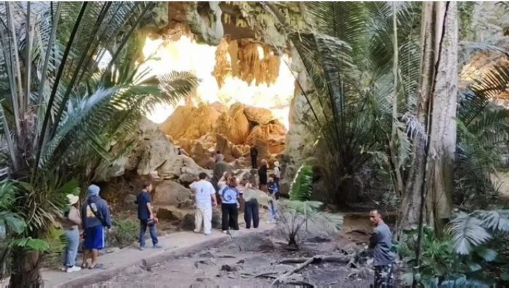 Phát hiện loài sinh vật hiếm chỉ xuất hiện vài ngày mỗi năm, du khách nối đuôi nhau đến tận nơi xem- Ảnh 3.