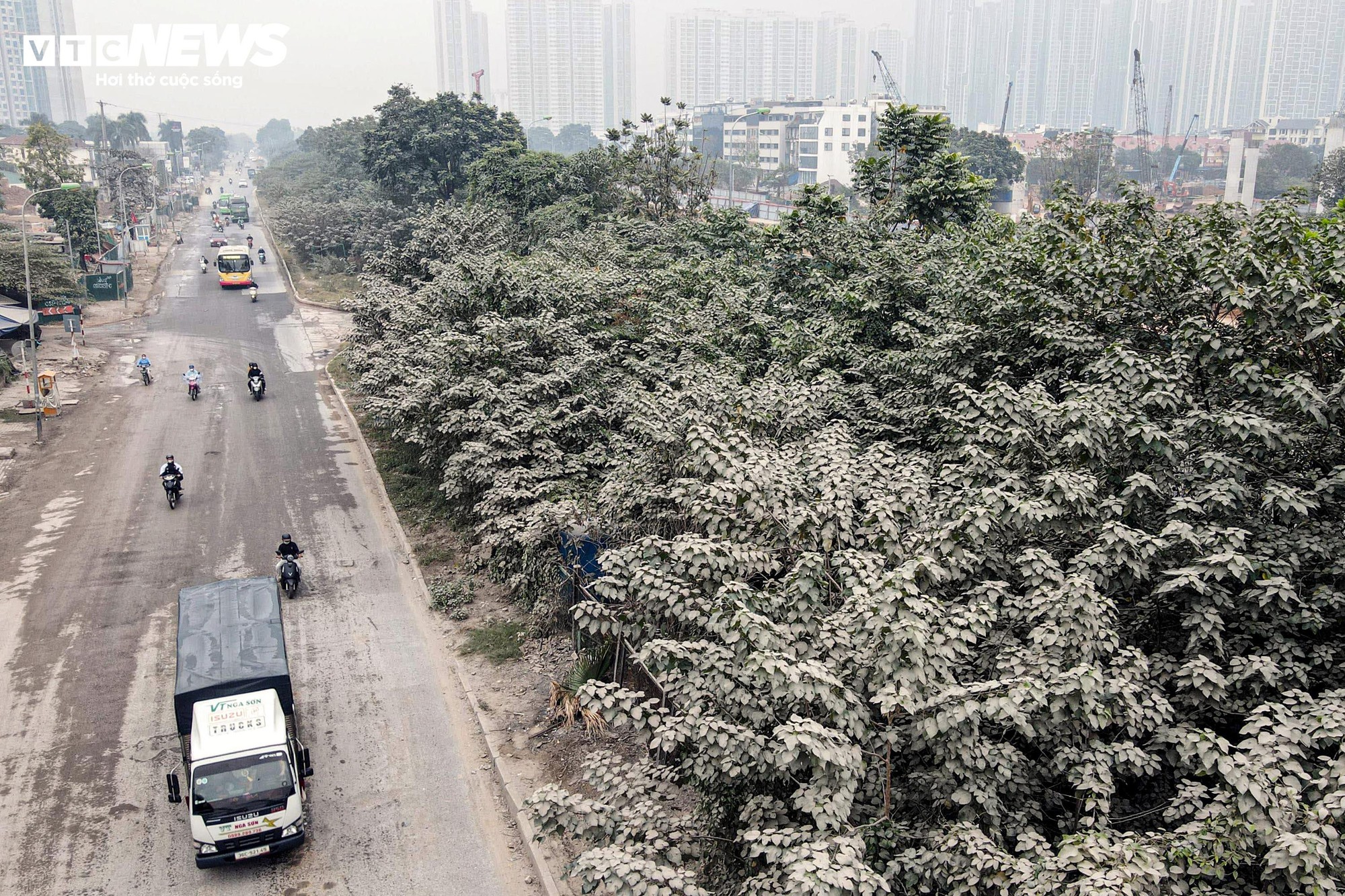 1764837951 453 Bao bui bao phu duong cua ngo Ha Noi cay