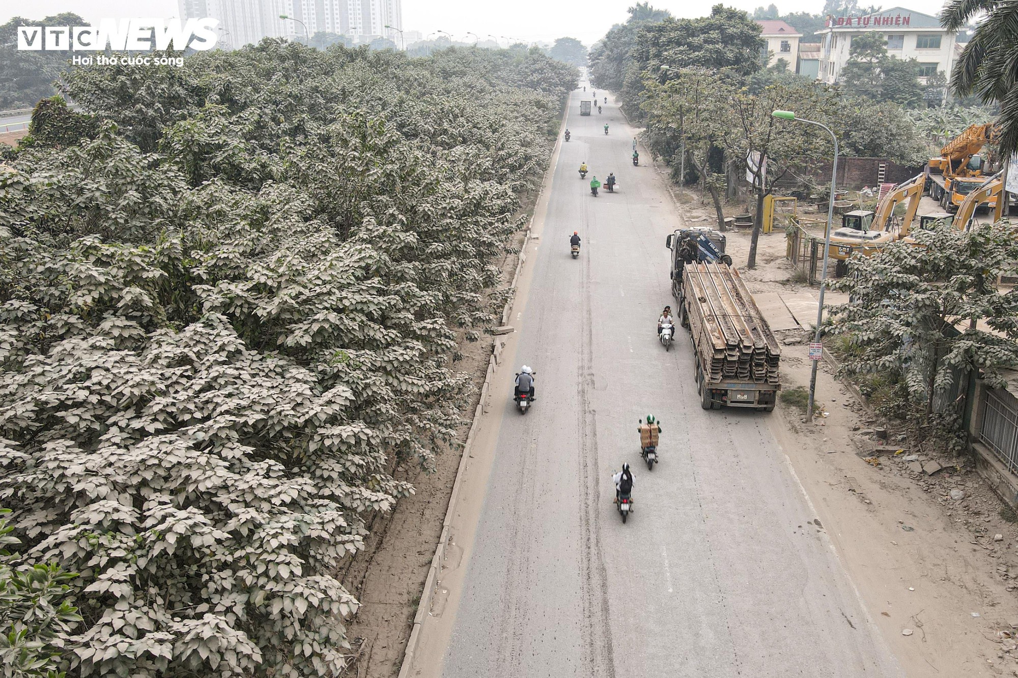 1764837952 663 Bao bui bao phu duong cua ngo Ha Noi cay