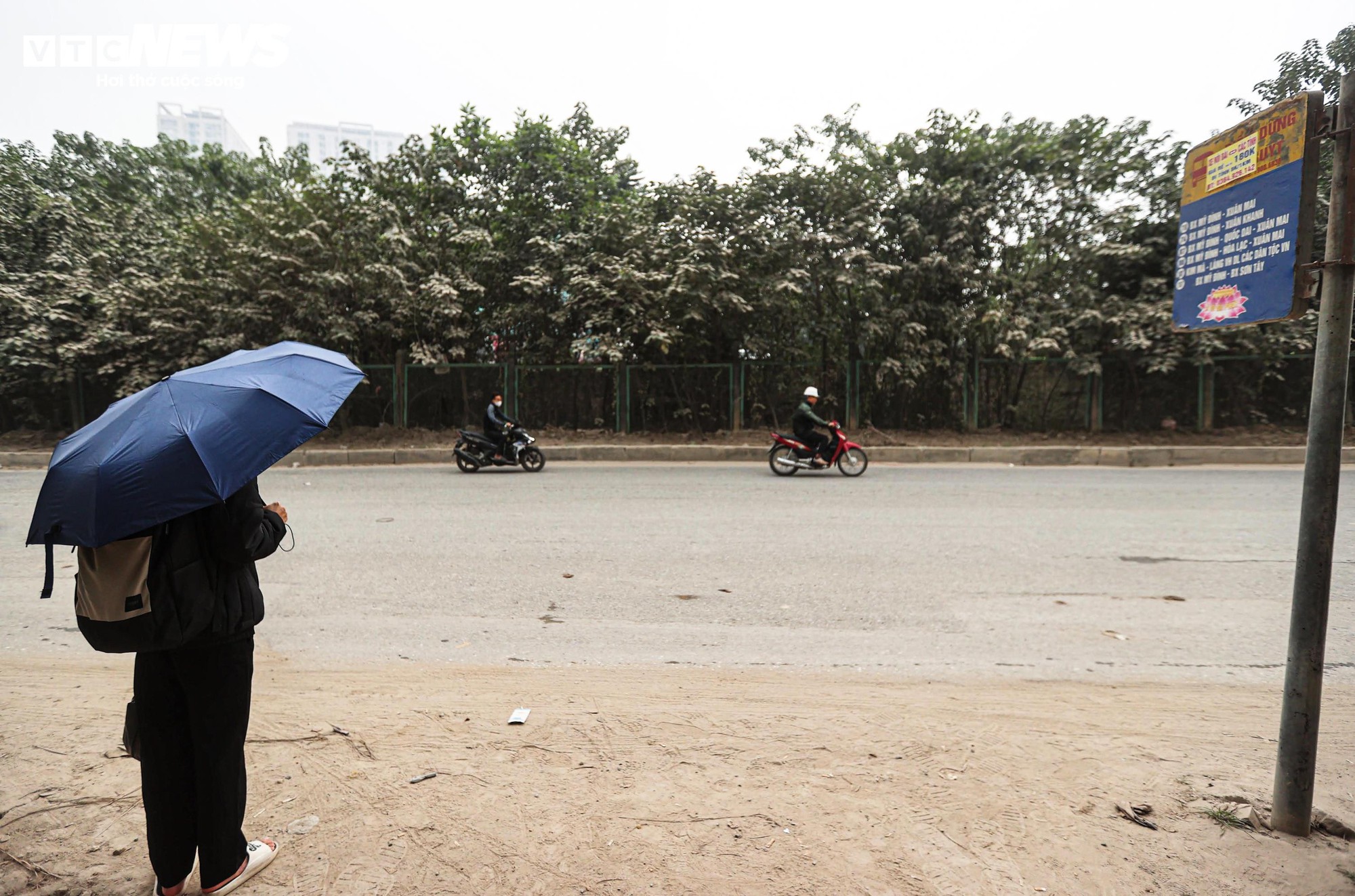 1764837956 448 Bao bui bao phu duong cua ngo Ha Noi cay