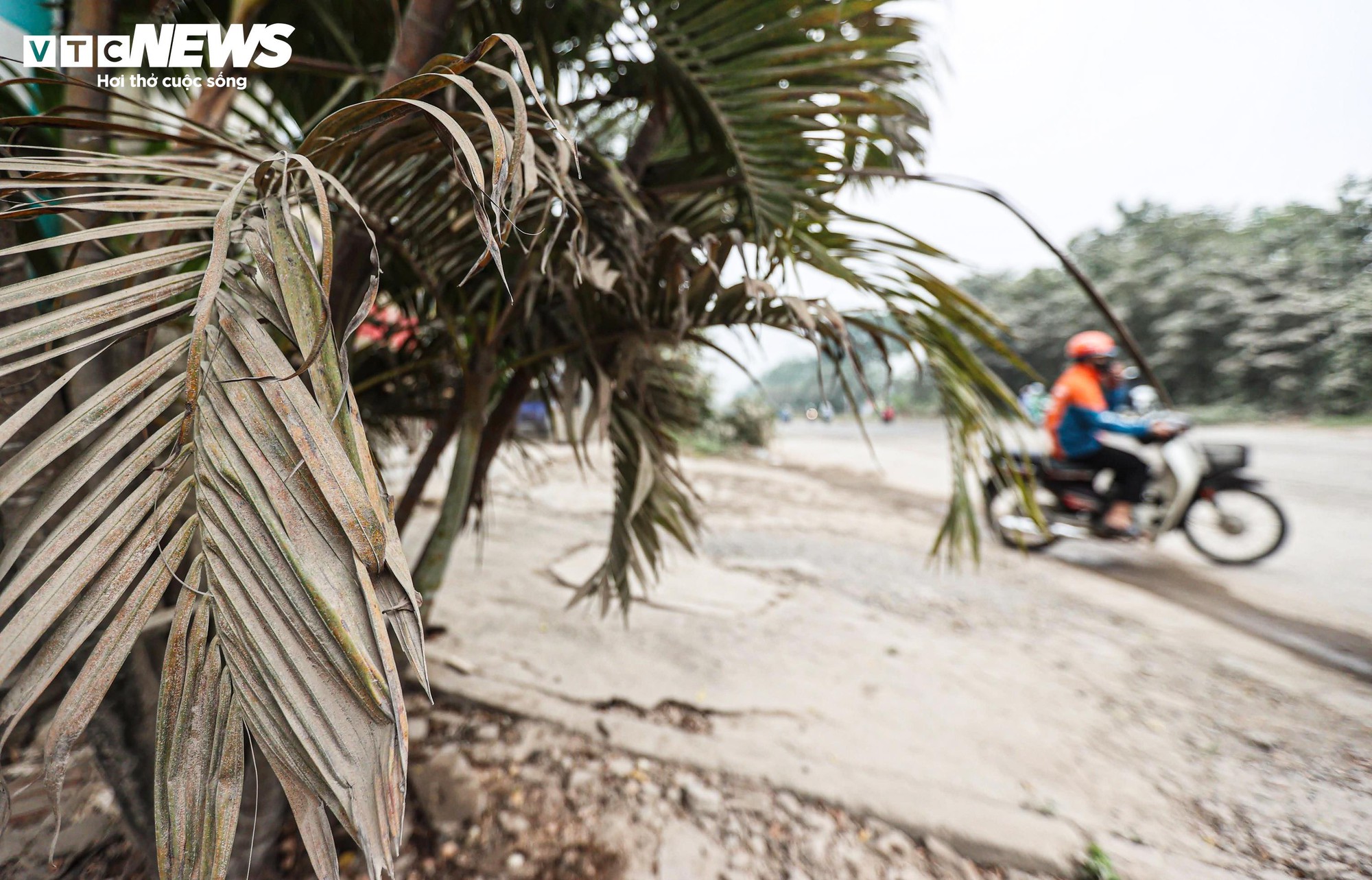 1764837959 832 Bao bui bao phu duong cua ngo Ha Noi cay