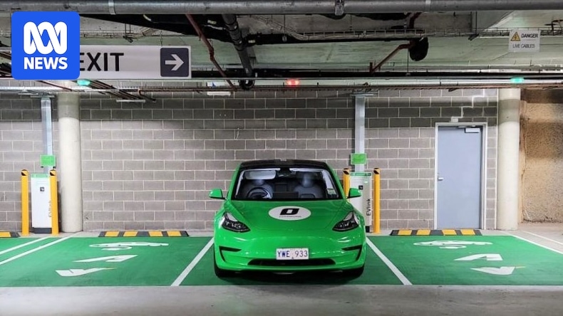 xe điện - Ảnh 2.