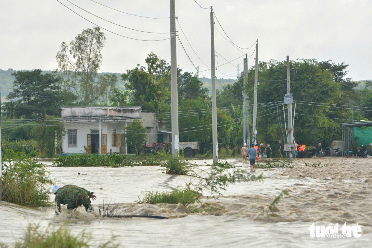 1.750 hộ bị cô lập, hàng chục tàu chìm, trôi dạt, Lâm Đồng kích hoạt ứng phó khẩn cấp 2 Lâm Đồng - Ảnh 2.