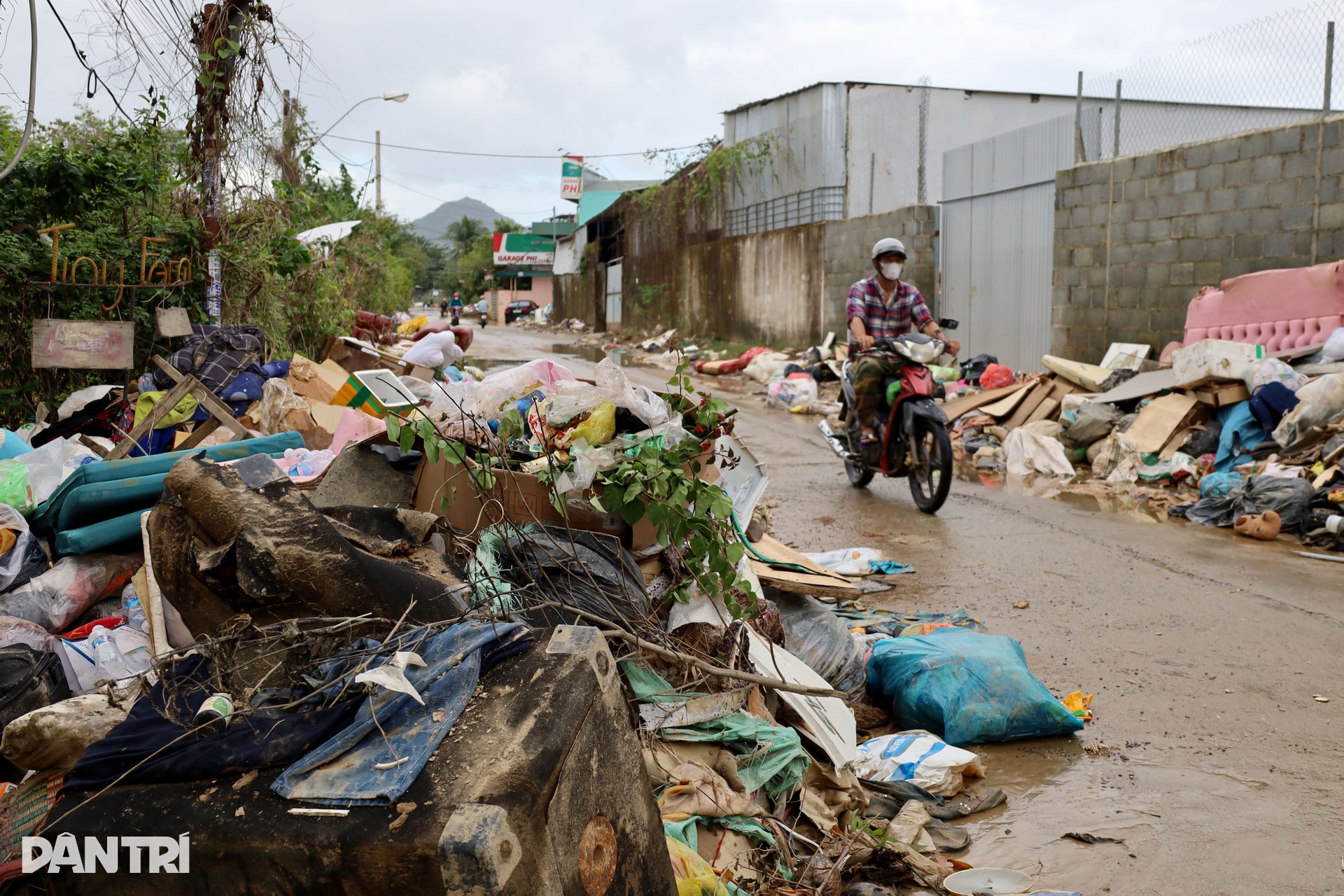 Cách người dân Nha Trang chạy lụt lần thứ 4 - 12