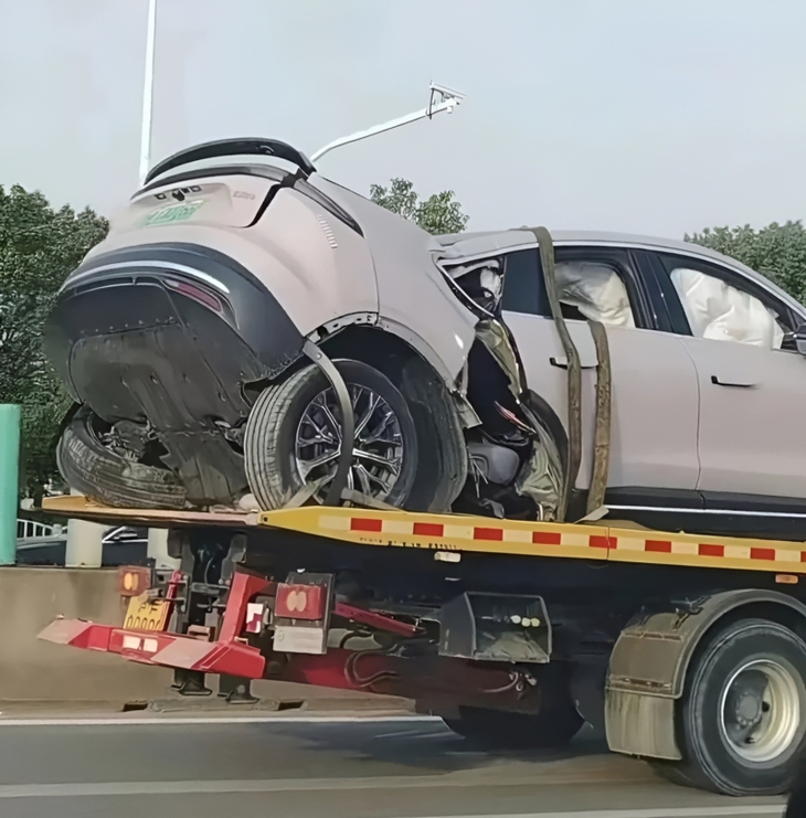 xe điện - Ảnh 4.