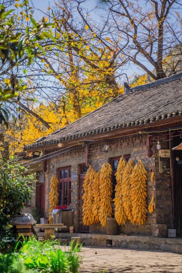 loi-dan-to-tien-8282-ngoisaovn-w800-h1200 0 Người qua năm đời phải dời mộ, nhà ở ba đời ắt phải đi