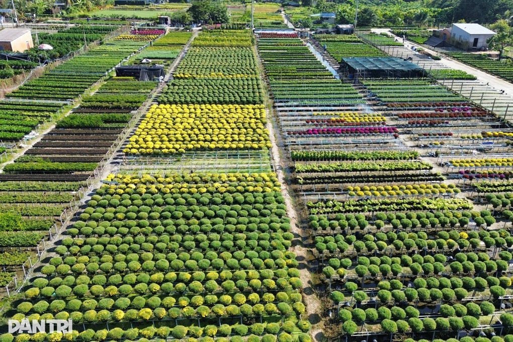 Miền Tây sắp có lễ hội hoa kiểng dự kiến đón nửa triệu lượt khách - 2