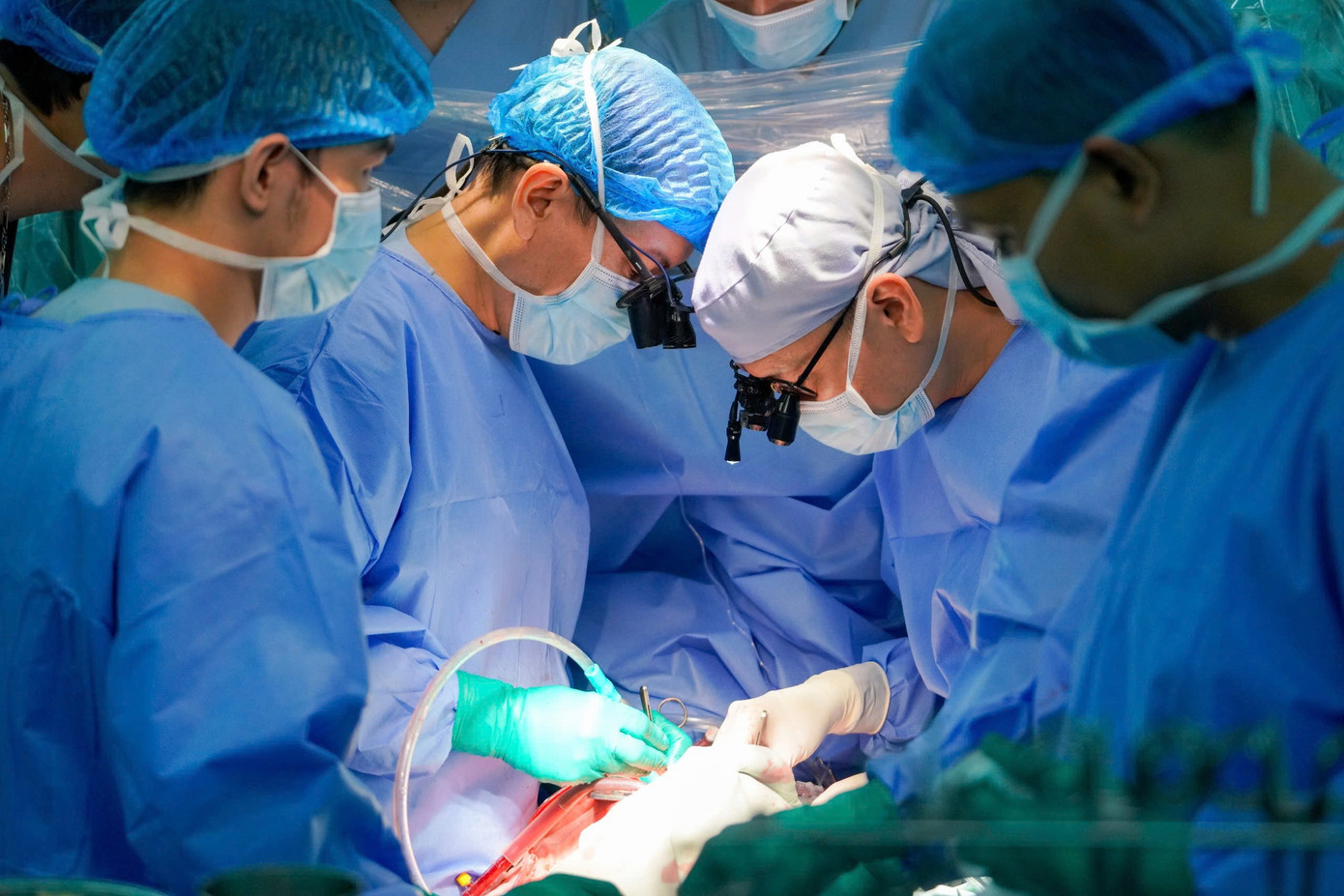 Trái tim từ Hà Nội vượt 1.600km 