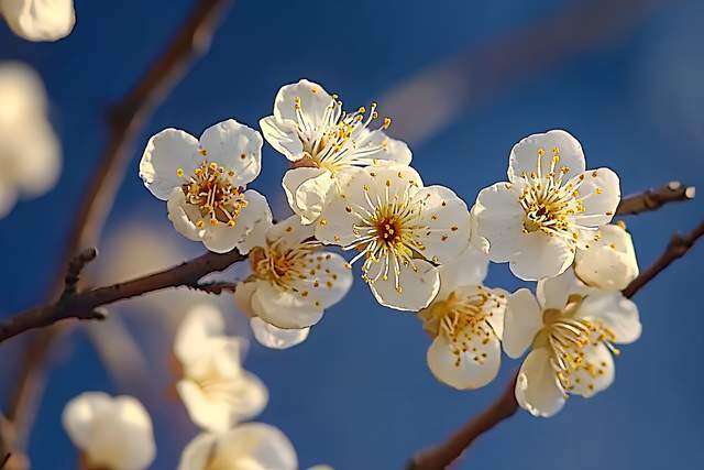 Khi bị người khác hãm hại, đây mới là cách đáp trả tinh tế và khôn ngoan nhất 3 Khi bị người khác hãm hại, đây mới là cách đáp trả tinh tế và khôn ngoan nhất - 3